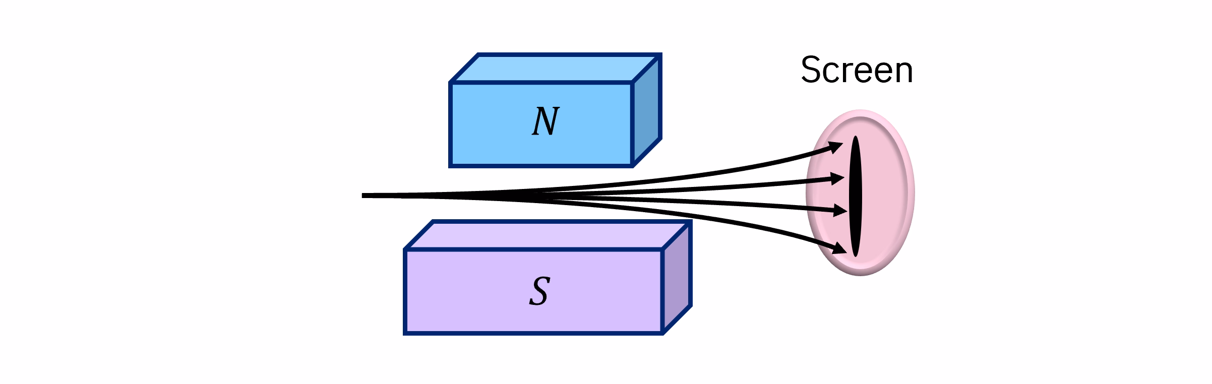 Diagram of a beam of particles passing through a magnet. They are deflected to varying degrees along the direction of the magnetic field. So when they strike a distant screen they form a line.